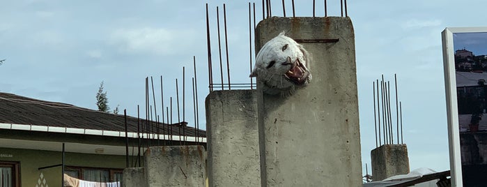 Garipçe Çam Ormanları is one of Posti che sono piaciuti a T.K.