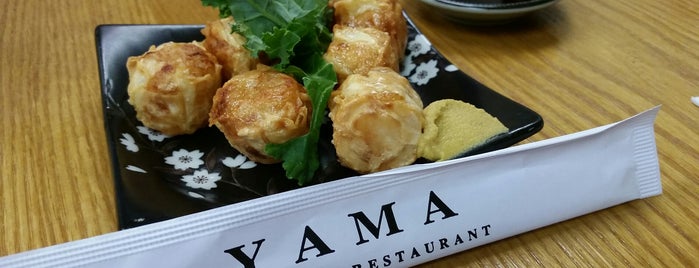 Yama is one of Richard 님이 좋아한 장소.