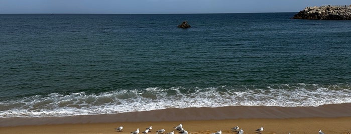 Anmok Beach is one of 강릉.