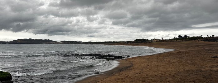 사계해변 is one of 푸른 밤 제주 Jeju.