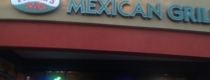 Mexican  Food