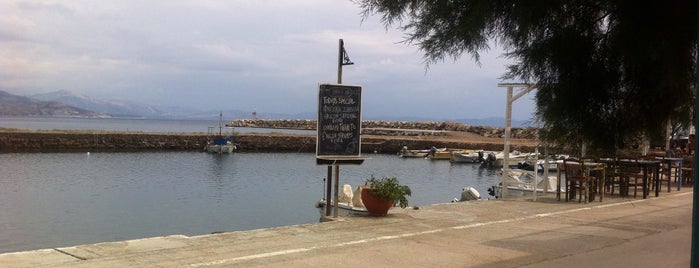 Barouzo is one of Chios.