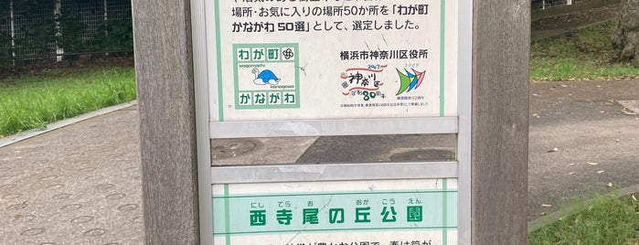西寺尾の丘公園 is one of 神奈川区のお散歩スポット.