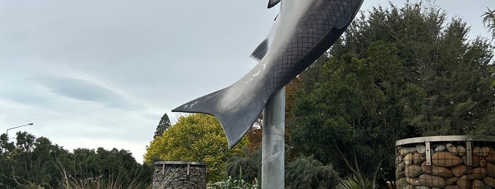 Huge Salmon is one of South island.