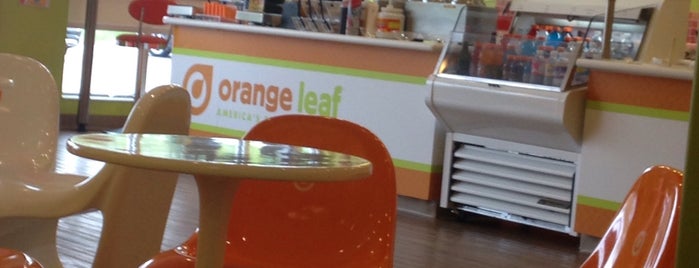 Orange Leaf is one of New England.