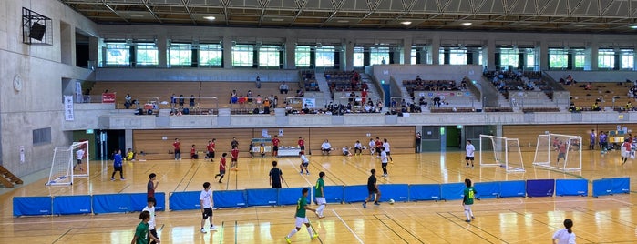 Naha Civic Gymnasium is one of okinawa life.