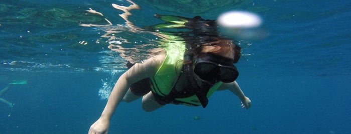 Ko Lipe Diving is one of Koh Lipe.