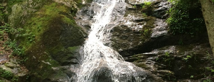 Crabtree Falls Campgrounds is one of Virginia Jaunts.