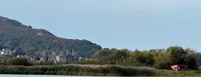 RSPB Conwy is one of Places I should go.