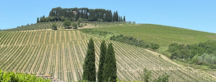 Foresteria Villa Cerna is one of Toscana.