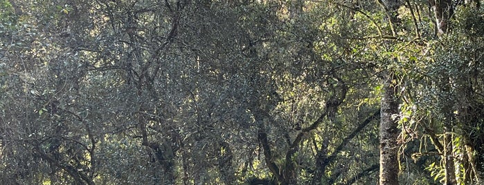 Country House is one of Campos do Jordão to eat.