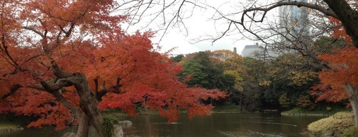 Koishikawa Korakuen Garden is one of Tokyo (Lonely Planet).