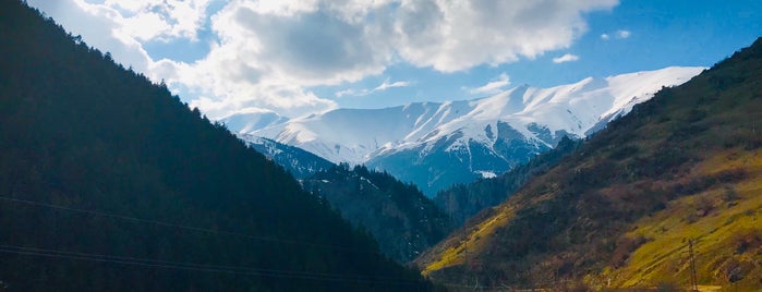 Anzer Yaylası is one of Rize.