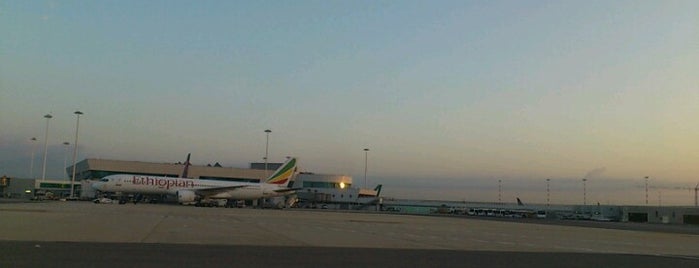 Rome-Fiumicino Airport (FCO) is one of Airports Visited.