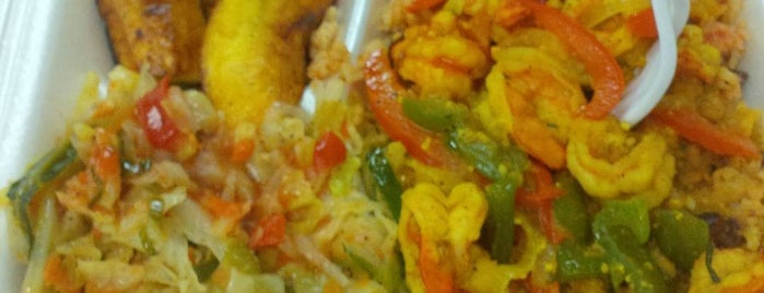 Tropical Gourmet Jamaican Restaurant is one of The 15 Best Places for Chicken in Daytona Beach.