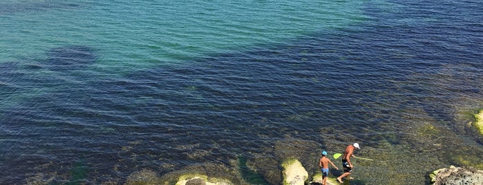 Барчето при братята (Brother's Bar) is one of Black Sea forever.