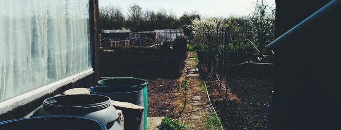 Marsh Lane Allotments is one of Thomas’s Liked Places.