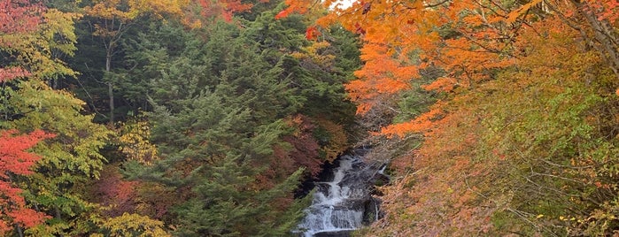 竜頭ノ滝 is one of Nikko (Japan 2019).