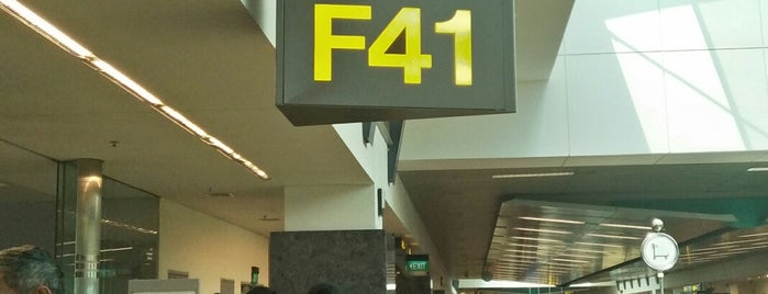 Gate F41 is one of SIN Airport Gates.