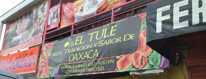 El Tule is one of Lieux qui ont plu à Foodie.