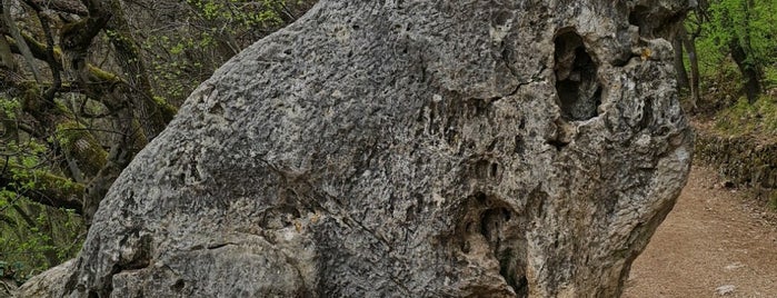 Oroszlán-szikla is one of Budai hegység/Pilis.