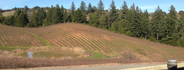 Lone Oak Winery is one of Lugares favoritos de Petr.