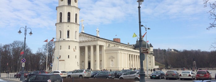 Cathedral Basilica of St Stanislaus and St Vladislav is one of Sights. Вильнюс..