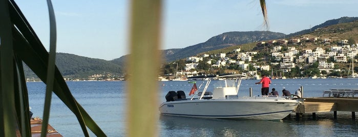 Fidele is one of Bodrum.