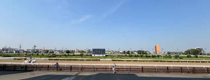 Urawa Racecourse is one of 競馬場.