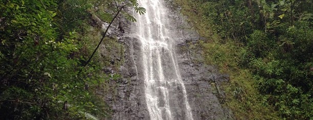Mānoa Falls is one of dc in oahu.