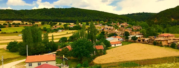 Lugares favoritos de Olcay