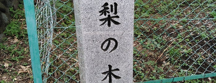 梨の木坂 is one of 相模原/座間/大和の坂道を歩く.