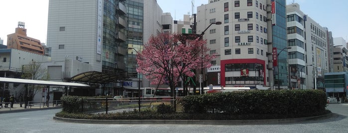 Suginami is one of 市区町村.