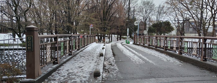 白山前橋 is one of 善福寺川に架かる橋.