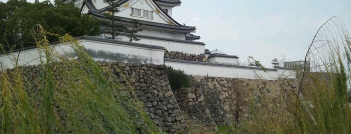 Kishiwada Castle is one of 小京都 / Little Kyoto.