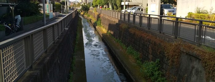 宮前橋 is one of 東京橋.
