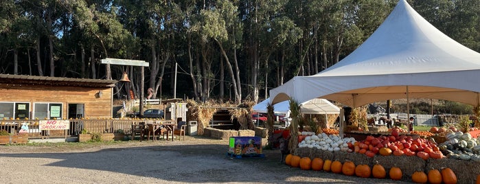 Arata's Pumpkin Farm is one of Royce.