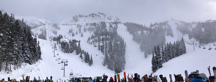 Glacier Creek is one of Best spring skiing spots on Blackcomb.