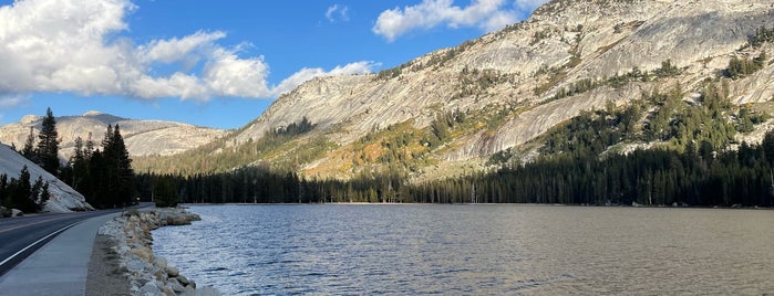 Tenaya Lake is one of Sandra's Road Trip.