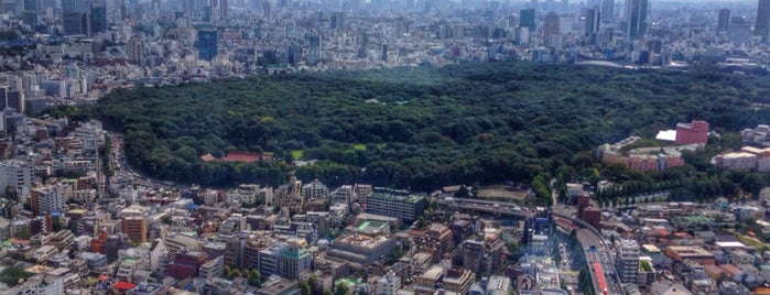 Park Hyatt Tokyo is one of Lugares favoritos de Calvin.