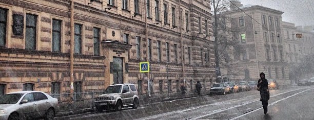 Pavlov First Saint Petersburg State Medical University is one of สถานที่ที่ Дарья ถูกใจ.