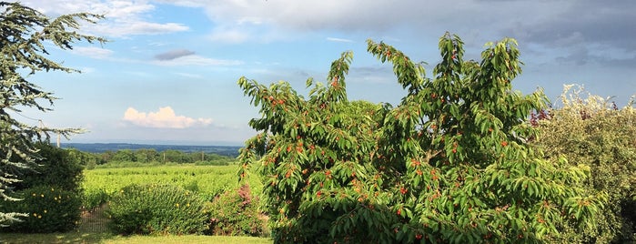 Beaujolais is one of Lyon - Places.