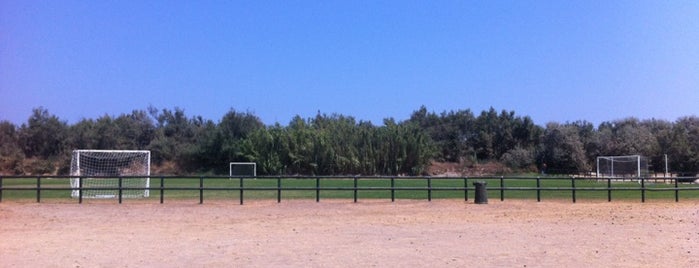 Albarella Campi Calcio is one of สถานที่ที่ Alex ถูกใจ.