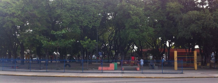 Praça Alberto Salazar is one of lugares.