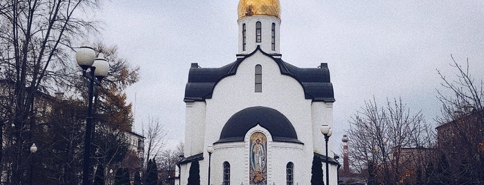 Храм Святого Князя Александра Невского is one of мои частые места.