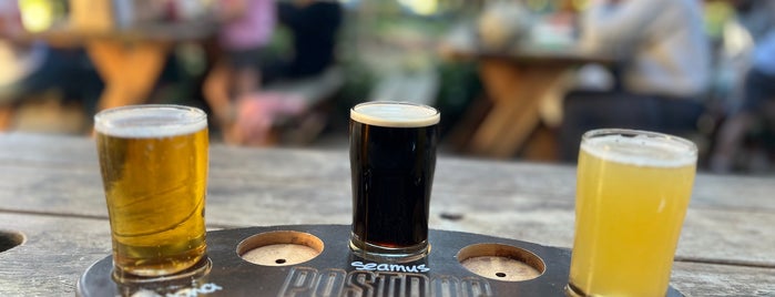 Postdoc Brewing Company is one of Seattle Breweries.