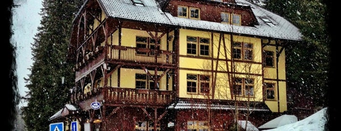 Hotel Modrava is one of Sumava Bohmerwald Bohemian forest (Czech Republic).
