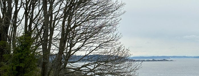 Discovery Park Bluff is one of Seattle Photography Locations.