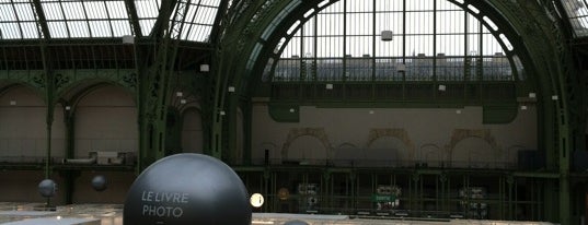 Grand Palais is one of Paris, France.