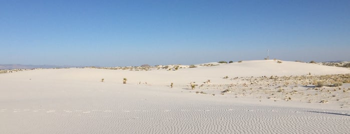 Interdune Boardwalk is one of Locais curtidos por Janine.